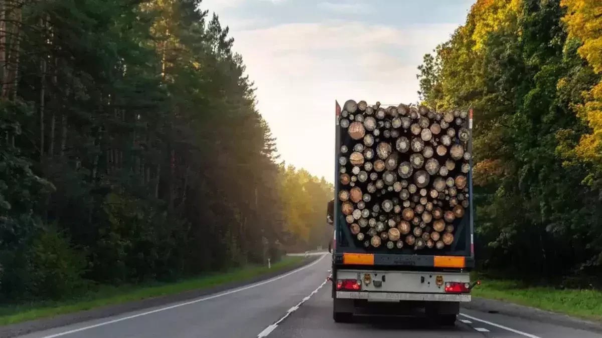 Lumber Transport Services for Your Shipping Needs
