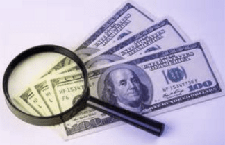 New York To Florida Auto Transport: Steps To Success