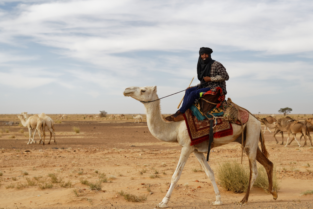 Moving To Mauritania