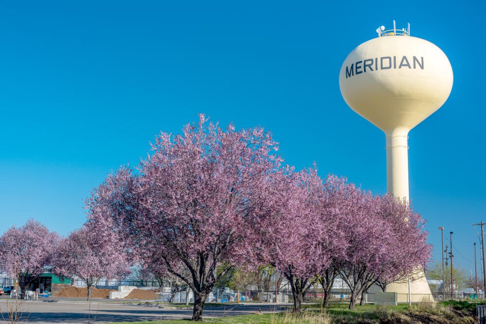 Meridian Freight Shipping Services Near Me