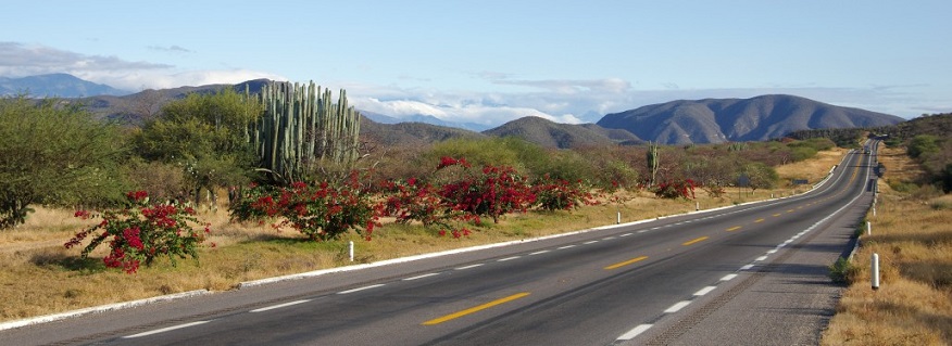 Permanently Import A Vehicle To Mexico