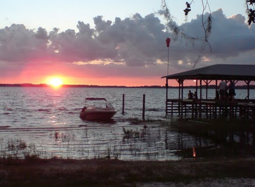Cheap Movers In Minneola