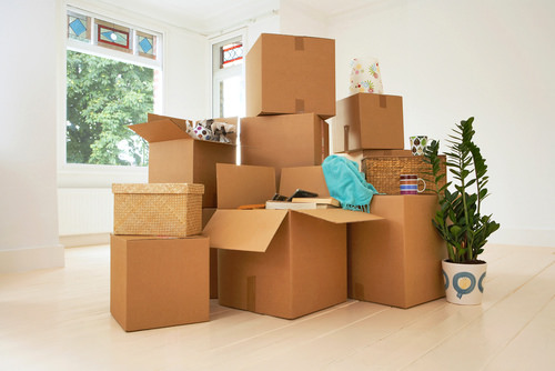 Cheap Movers In Albany