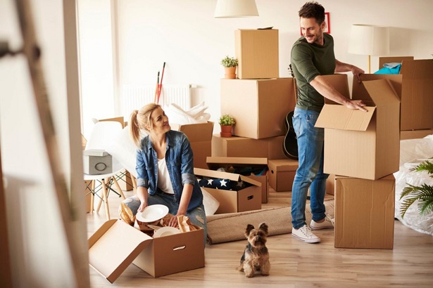 Cheap Movers In Illinois