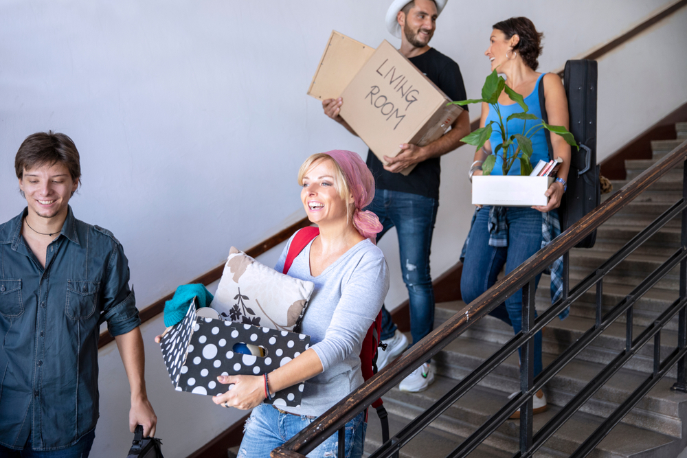 Professional Movers Germany