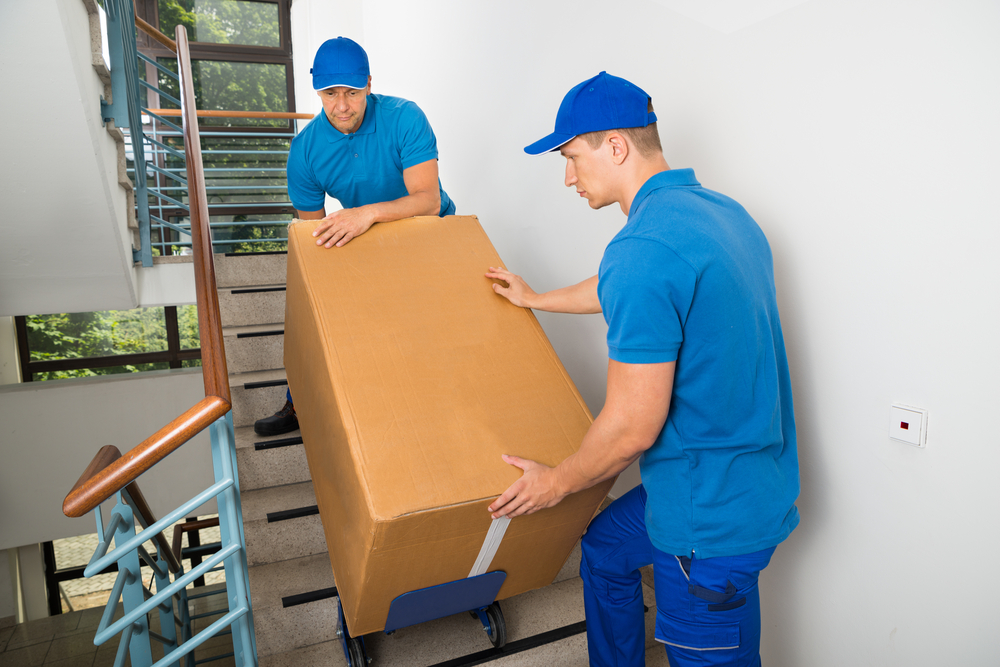 Packers And Movers Albany Ga
