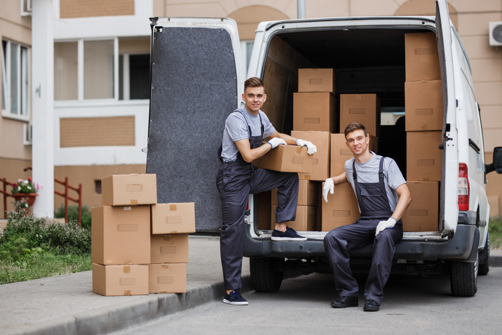 Packers And Movers Palmetto
