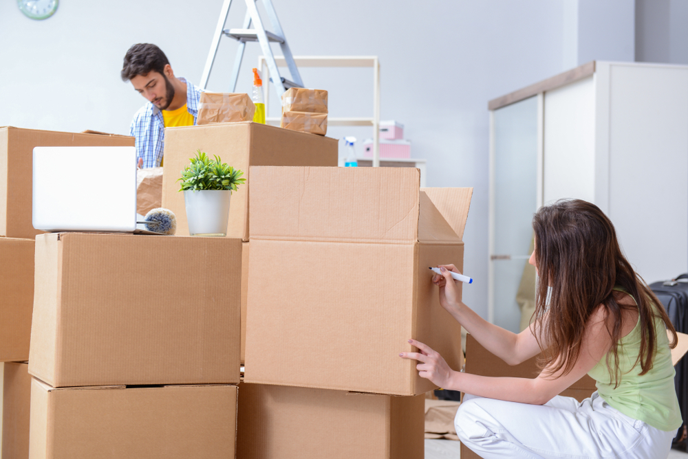 Packers And Movers Winter Park