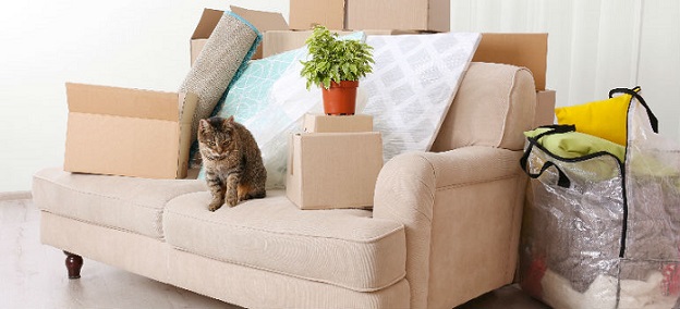 Why Moving Is The Best Opportunity To Declutter You Home