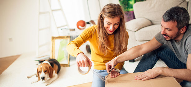 Cheap Movers In Westminster