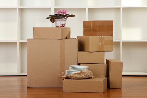 Cheap Movers In Crescent City