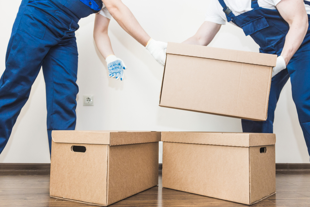 Movers near me Punta Gorda