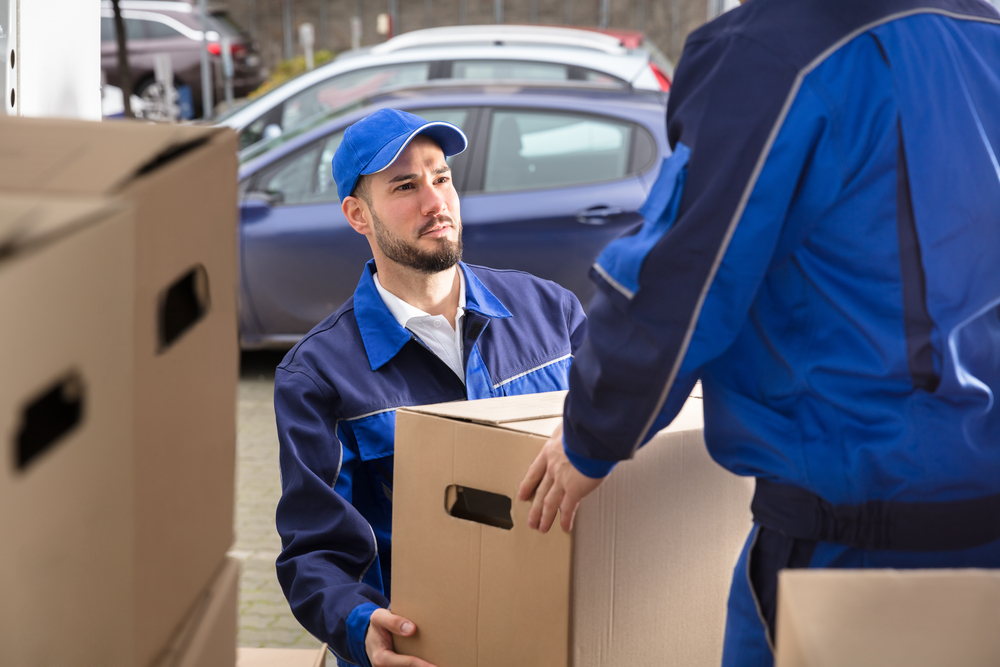 Movers near me Roselle