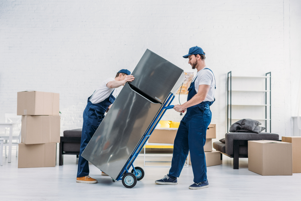 Movers near me Safety Harbor