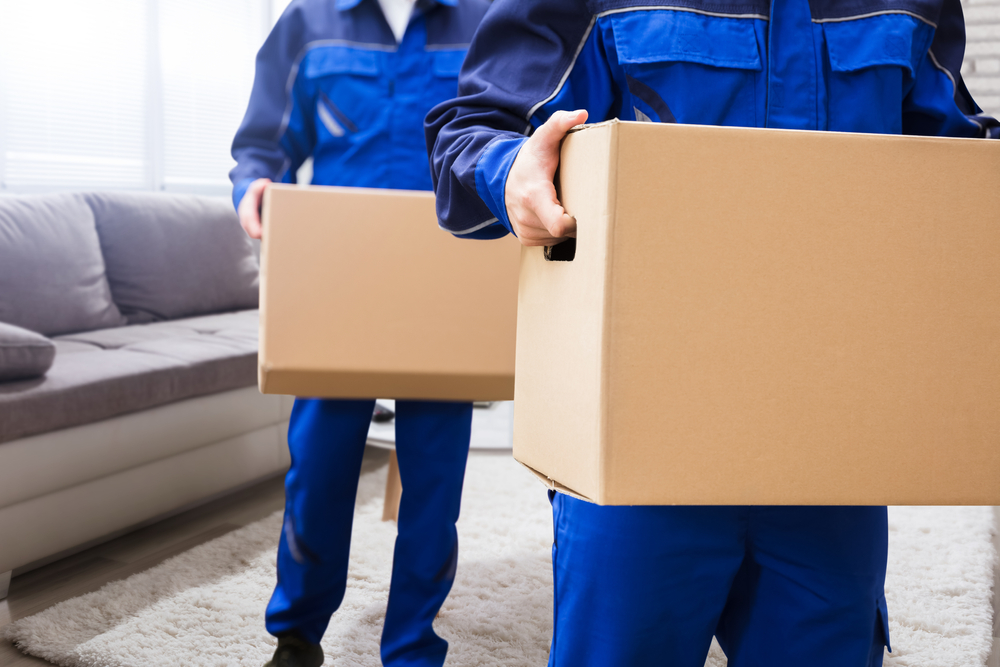 Movers near me South Elgin