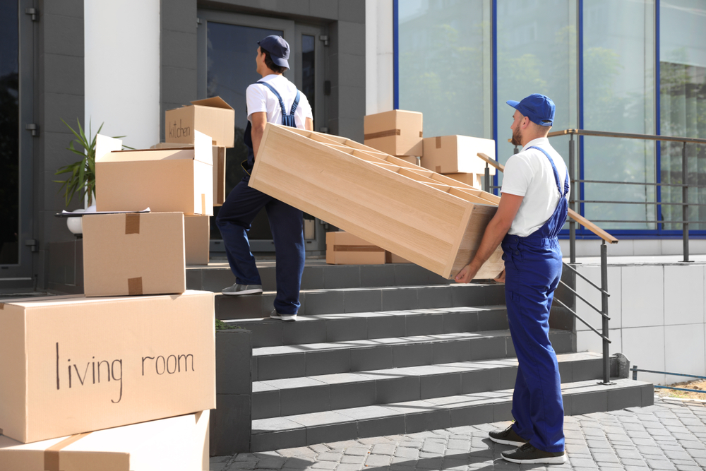 Movers near me Temple Terrace
