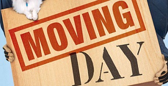 Same Day Movers In El Cerrito City, California