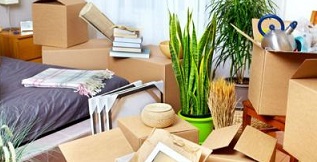 Same Day Movers In Bristol, Connecticut
