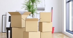 Same Day Movers In Burlingame, California