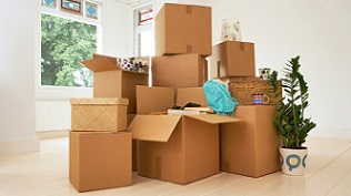 Same Day Movers In Cupertino, California