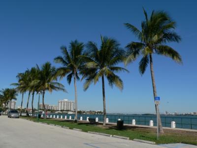 Cheap Movers In Miami Shores