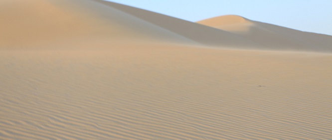 Ship Car To Musay‘īd