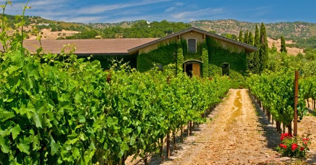 Napa