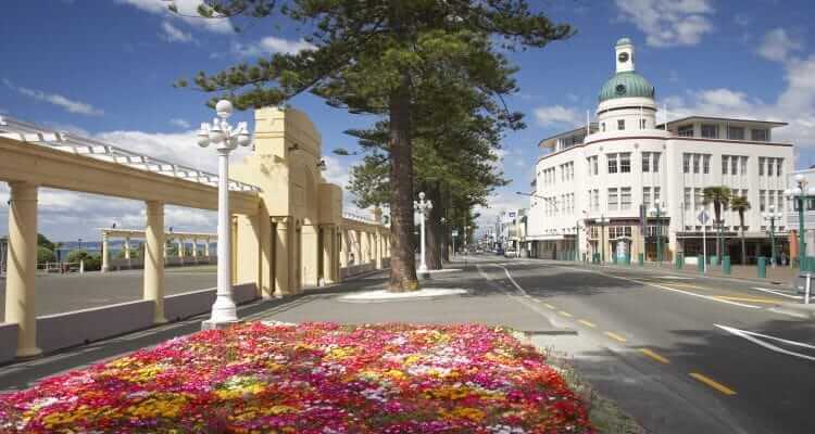 Ship Car To Napier