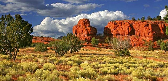 Cheap Movers In New Mexico