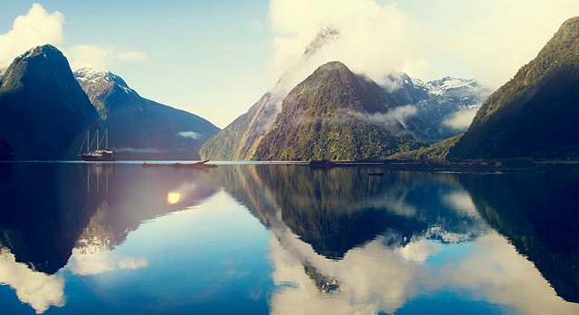 New Zealand Vehicle Registration Process