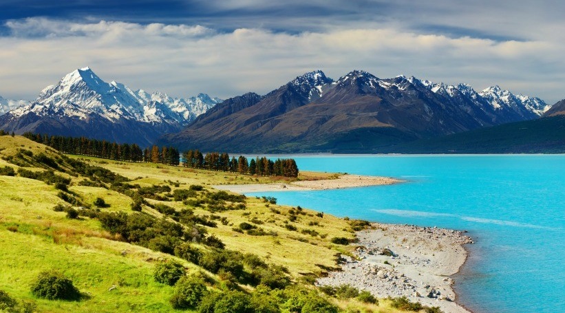 Ship Your Car to New Zealand as Quickly and Safely as Possible