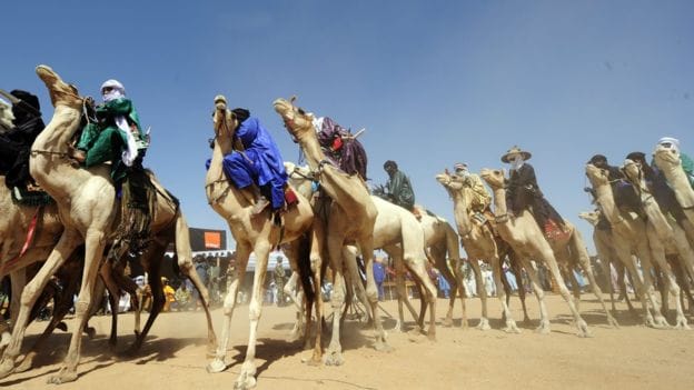 How Can I Find Out What It Will Cost to Ship a Car to Niger?