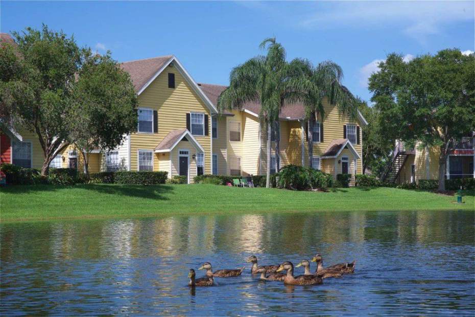 Cheap Movers In Ocoee