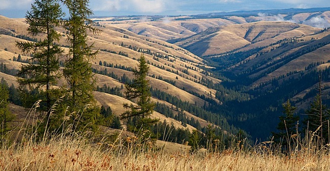 Oregon (OR) State To State Moving Services