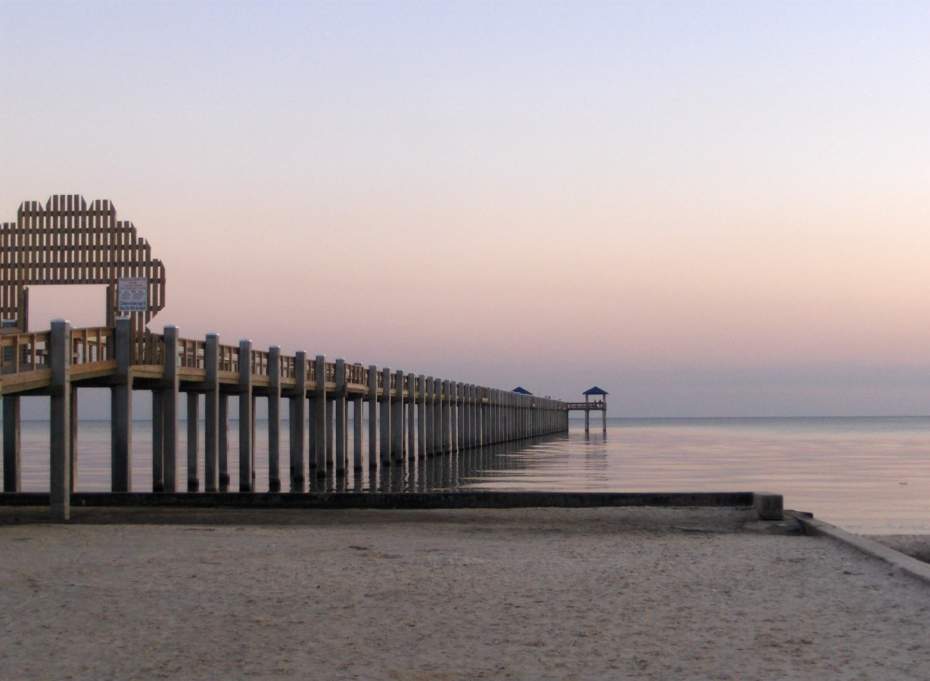Cheap Movers In Palmetto