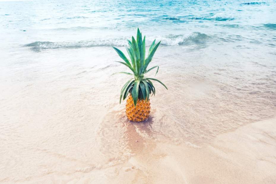 Cost to Ship a Car and Your Household Goods to Hawaii