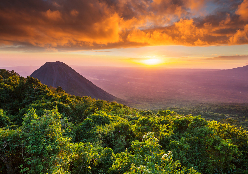 Professional Transport Companies Provide the Best Way to Ship a Car to El Salvador