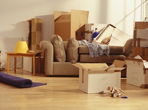 Cheap Movers In Titusville
