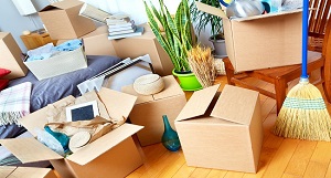 Cheap Movers In Palm Bay