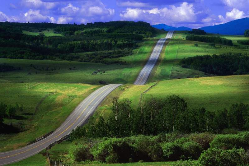 Auto Transport Services & Car Transport Companies Are Ideal For Interstate Purchases