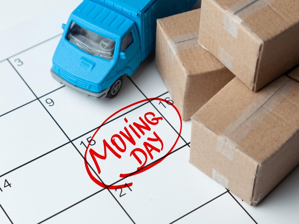 Mover On The Moving Day