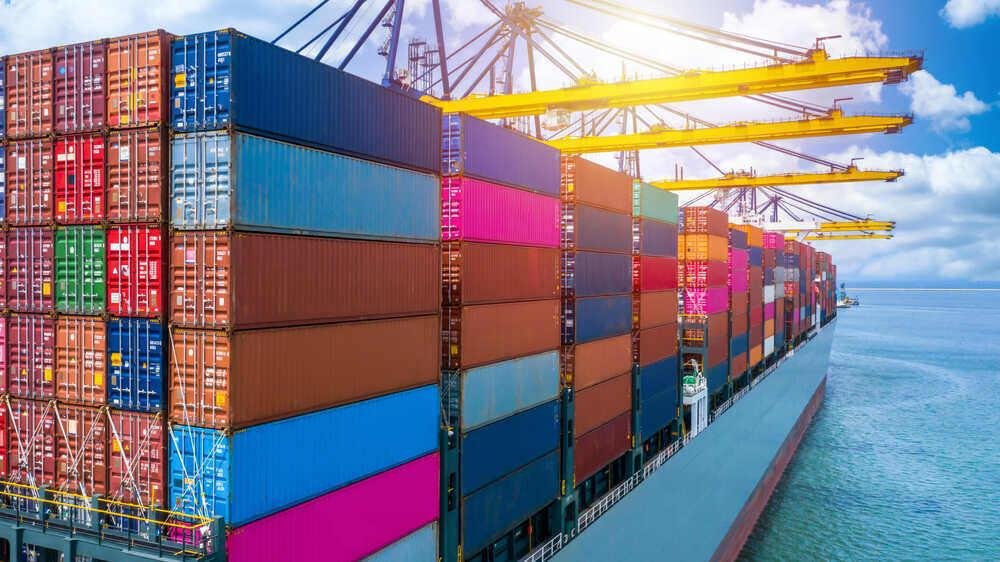 Role Of Dock Worker