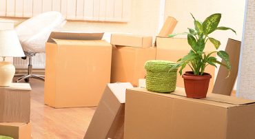 Same Day Movers In Louisville, Colorado