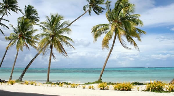 What Will I Be Responsible for If I Use Professionals to Ship My Car from America to Samoa?