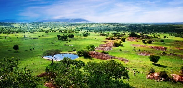 Learn How Easy Shipping a Car to Tanzania from the USA is with Professional Transport Services