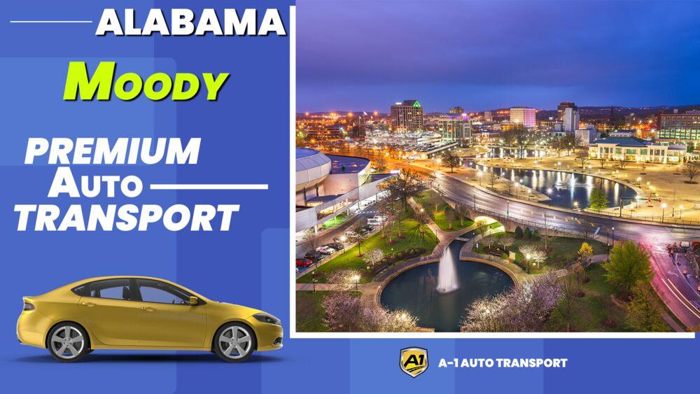 Top Car Shipping Companies Moody