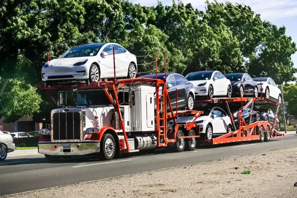 vehicles transporter carries tesla
