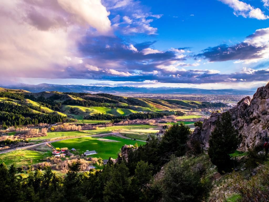 Montana Mt
