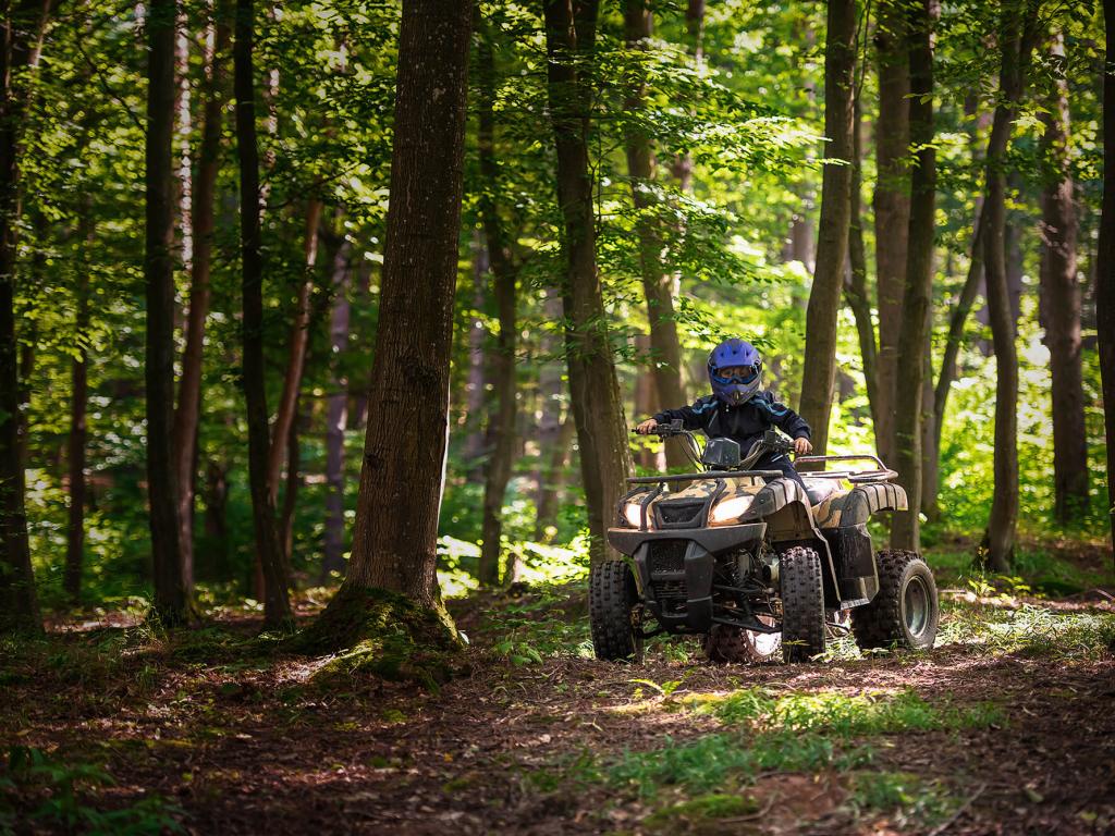 All Terrain Vehicles / ATVs