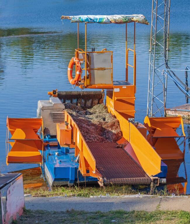 Transport barge and conveyor system for aquatic weeds removal on lakes and rivers